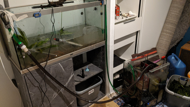 Déménagement - Jour J (2) * Installation et aquarium provisoire en remplissage *

L'entrée de réfugium en siphon et la sortie en réglant le débit de la pompe plus ou moins au debit d'entrée. J'ai été étonné de voir que l'équilibre se trouve (plus d'eau dans le réfugium = plus de pression sur la pompe, et donc meilleur débit, jusqu'à équilibre. Mais ça ne marche que si le débit d'entrée est plus fort). Risqué !!!!
