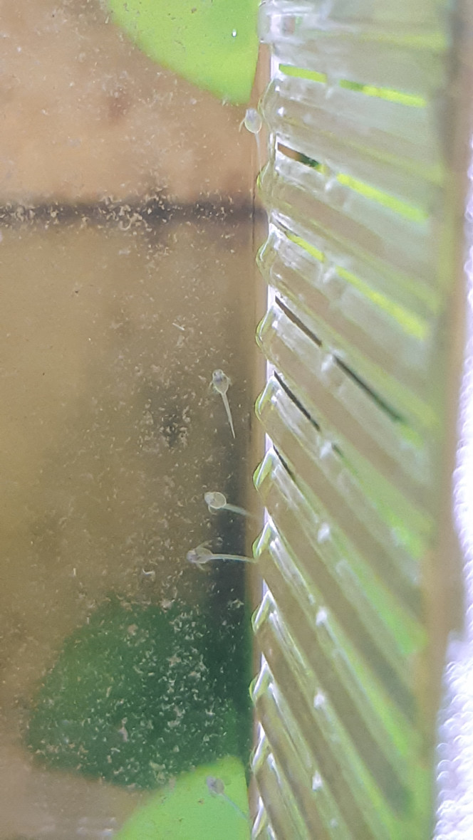 Photographie du post de julie-debremme 