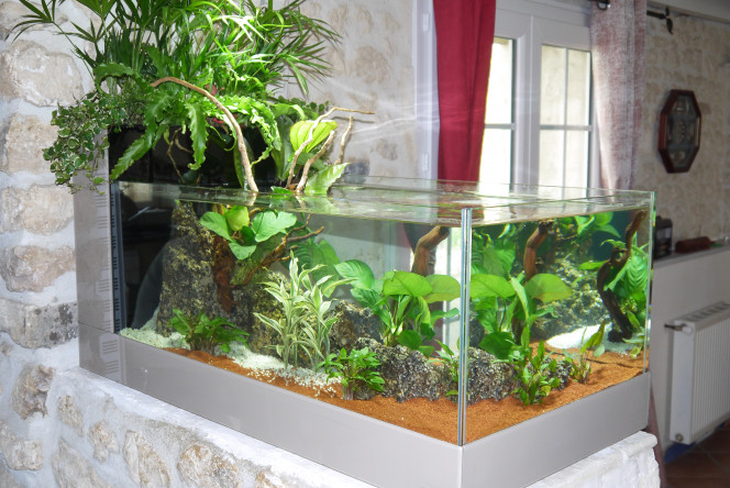 1er aquarium fait sur mesure en 2016.  mon début en aquariophilie