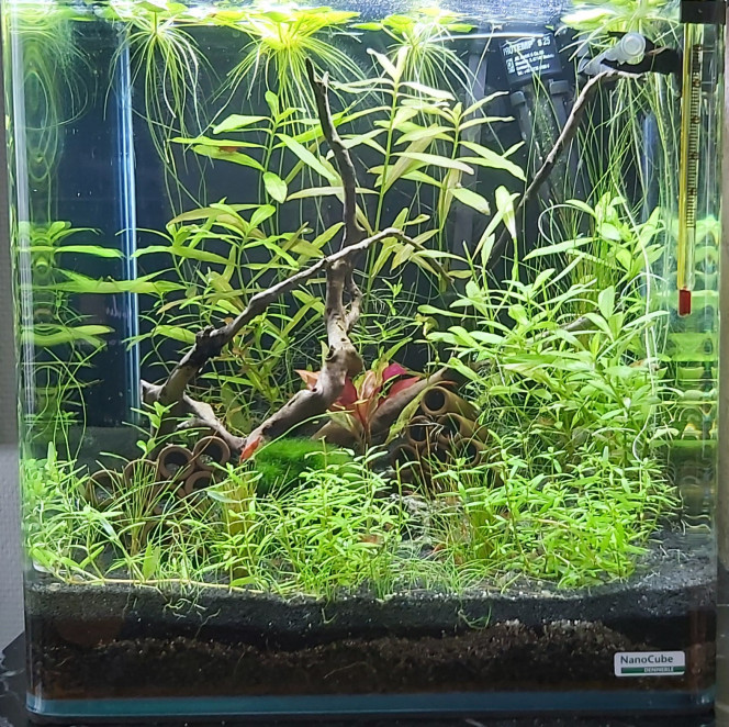 Nano 35 litres Après un entretien
