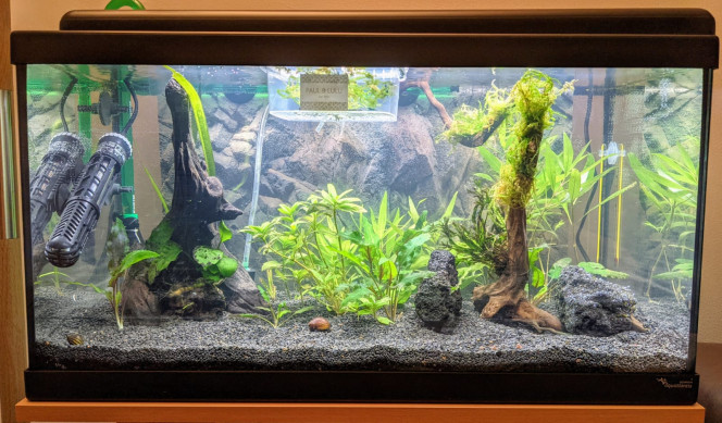 Aquatlantis BioLED 60 Hello ! 

Bac 55L net démarré en remplacement de mon Marina Vue 28 L net, dont j'ai repris les masses filtrantes, les plantes, la racine et une 20aine de litres d'eau.

CO2 Artisanal en gel
pompe Eheim Classic 150
thermoplongeur JBL 50W
éclairage LED 980 lm 9h/j
sol Aquabasis + pouzzolane pour support bactéries + Manado Dark

Wait and see...