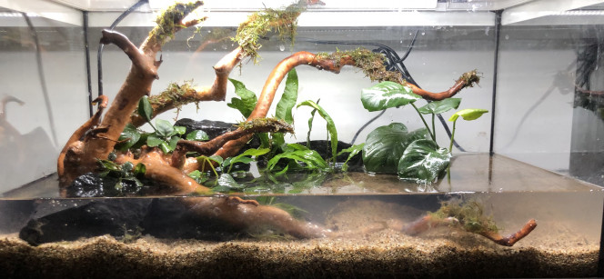 54L Réflection totale de mon 54L