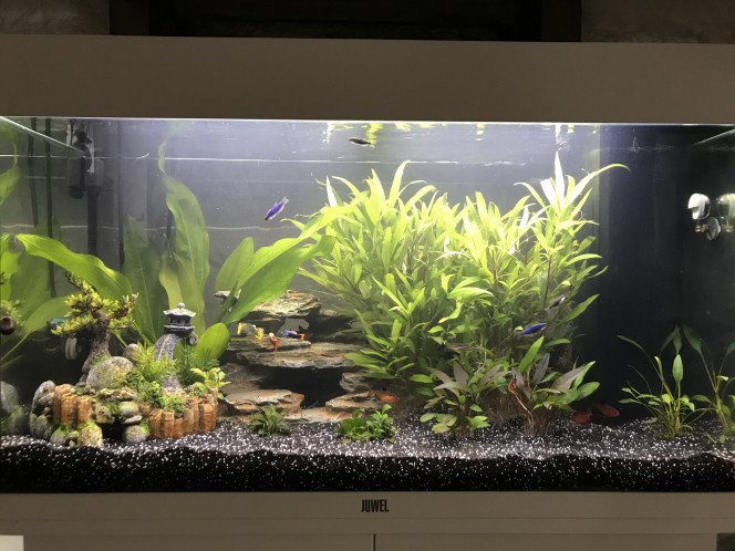  Petit réaménagement