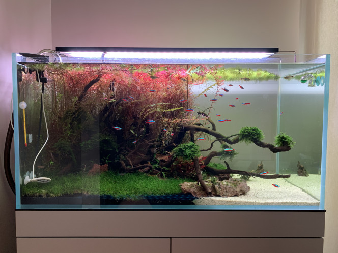 Photographie du post de pierre-candela 