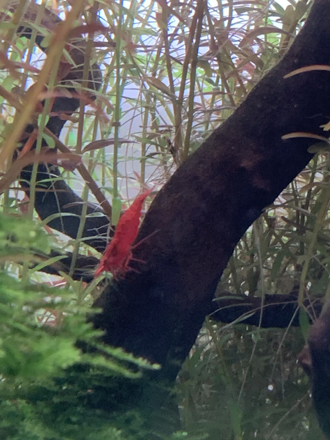 Photographie du post de pierre-candela 