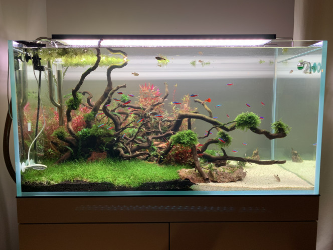 Photographie du post de pierre-candela 