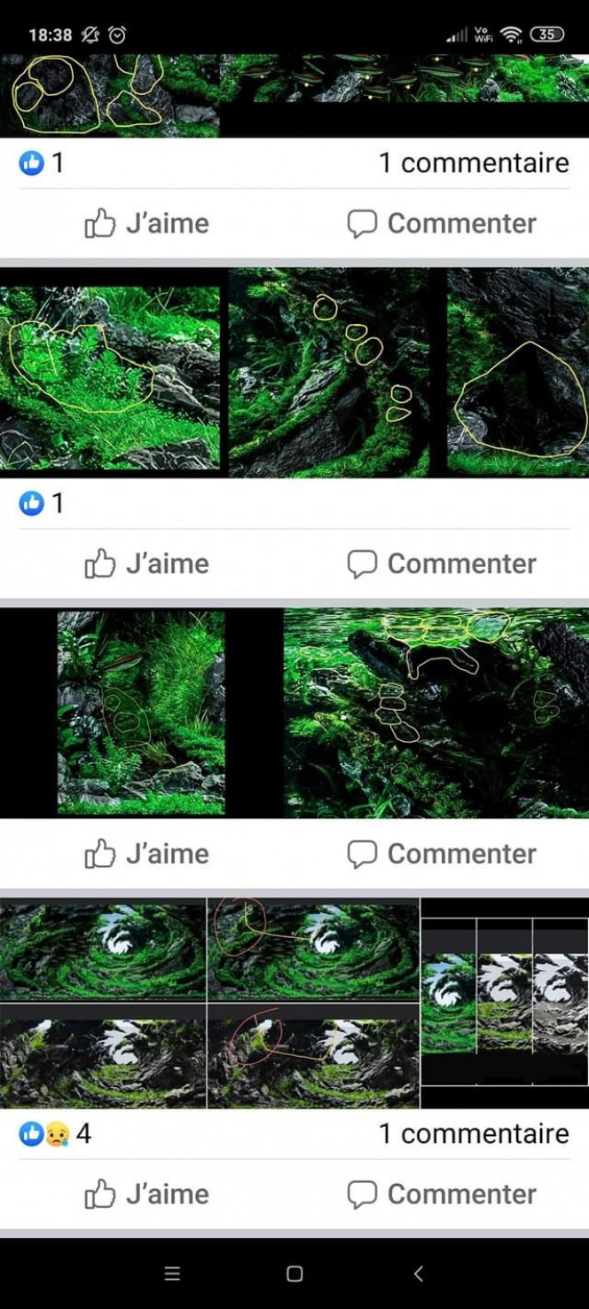 Photographie du post de NakMuay 