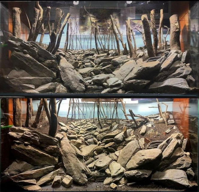 Photographie du post de NakMuay 