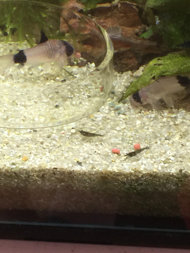 Photographie du post de mmichel20 