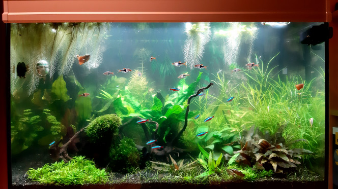 Photographie du post de Fouch1 