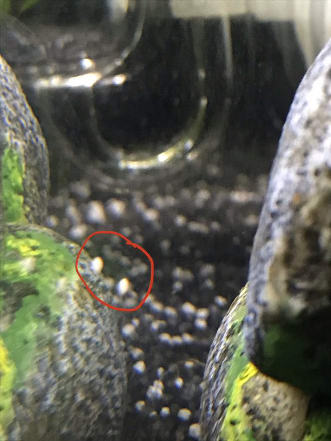 Photographie du post de Sebsoul 