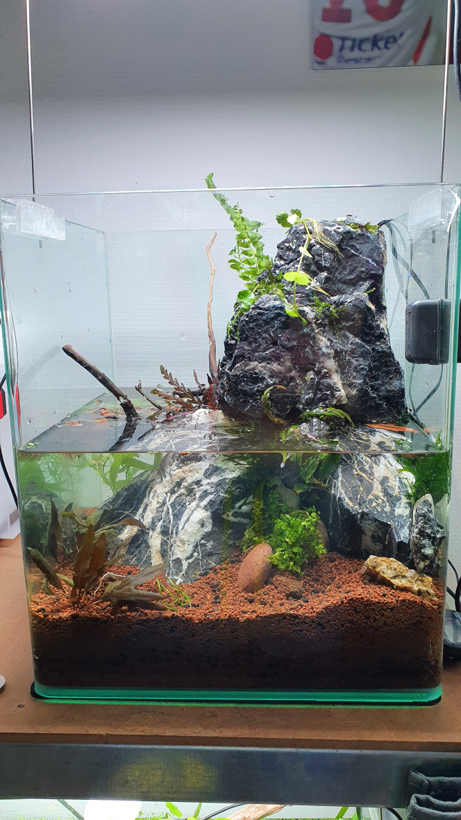 Nouveaux 30l cascade J'ai enfin décidé de refaire mon 30l dans un nouveaux projet, une belle cascade silencieuse et apaisante uniquement avec du maths que j'avais déjà plus quelque fabrications maison, encore quelque plante a ajouté mais sa commence a avoir de la gueule, je ferais bientôt une petite vidéo maison