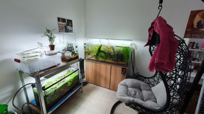 Nouveaux 30l cascade J'ai enfin décidé de refaire mon 30l dans un nouveaux projet, une belle cascade silencieuse et apaisante uniquement avec du maths que j'avais déjà plus quelque fabrications maison, encore quelque plante a ajouté mais sa commence a avoir de la gueule, je ferais bientôt une petite vidéo maison