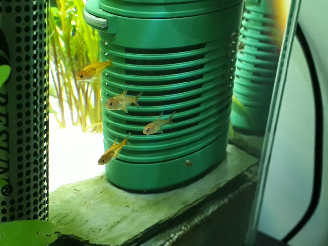 Photographie du post de Aquata 