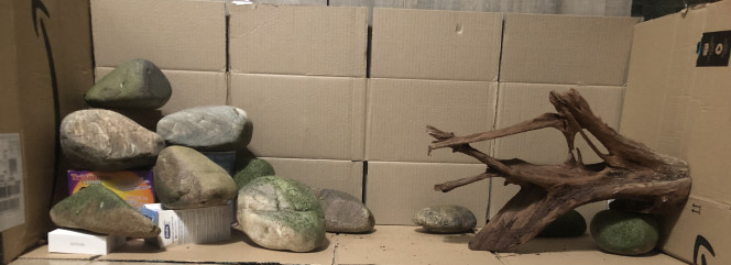 Photographie du post de Refugees63 