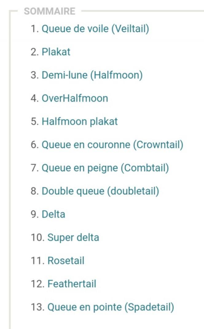 Photographie du post de Lulu82 