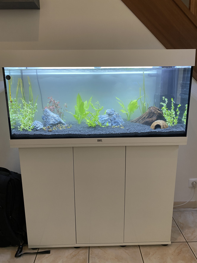 Installation et mise en eau de l’aquarium