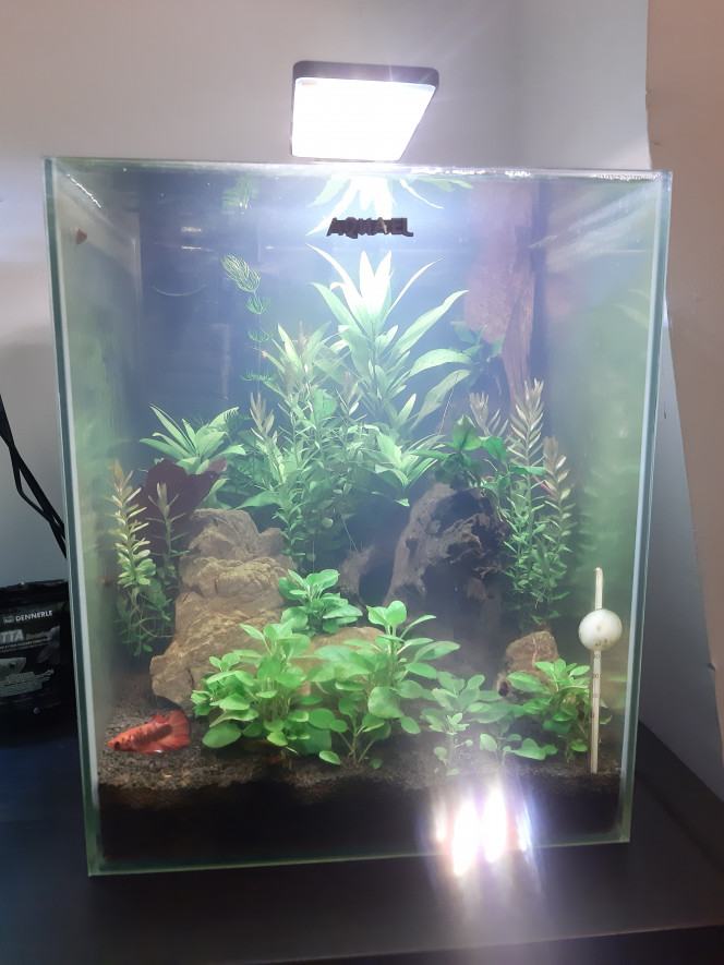 Nano 30 litres aquael 