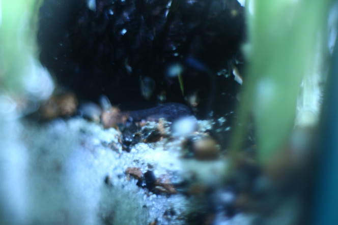 Photographie du post de MarleneMLX 