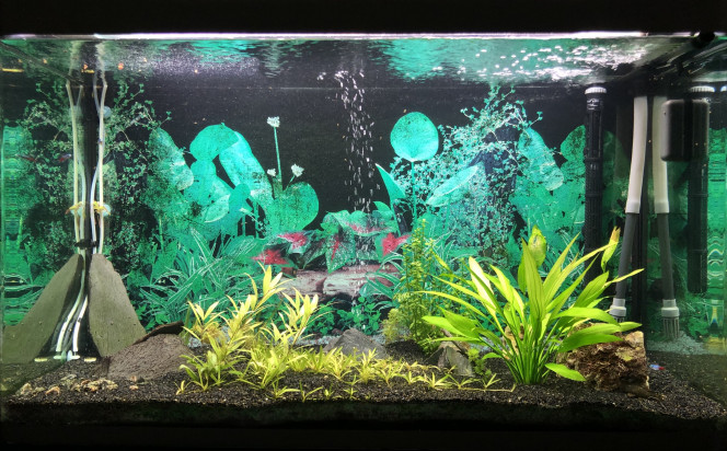 Fluval Osaka 260 Bac communautaire