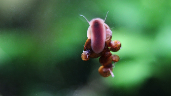Photographie du post de MarleneMLX 
