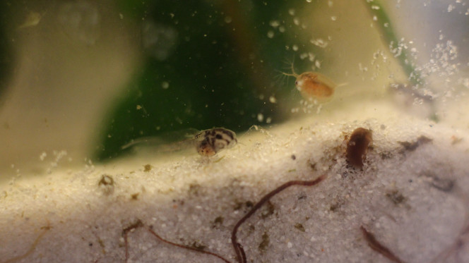 Photographie du post de MarleneMLX 
