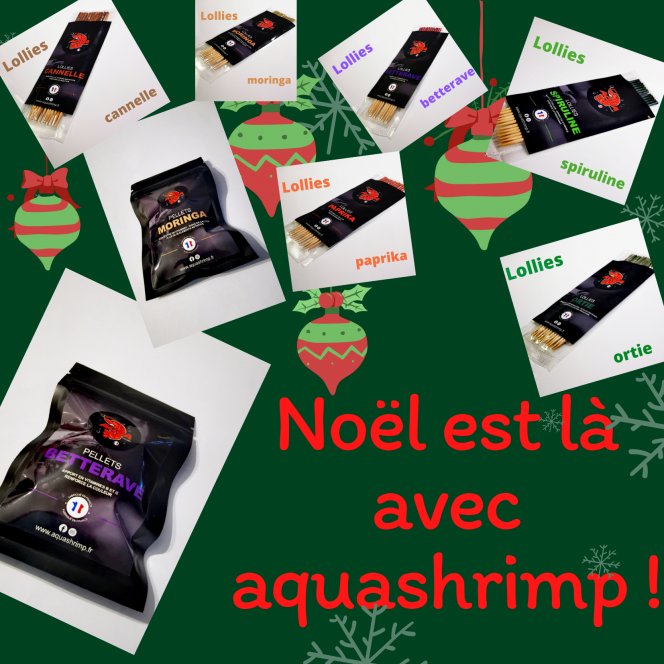 Photographie du post de Anthony55300 