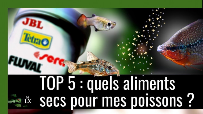 Photographie du post de MarleneMLX 