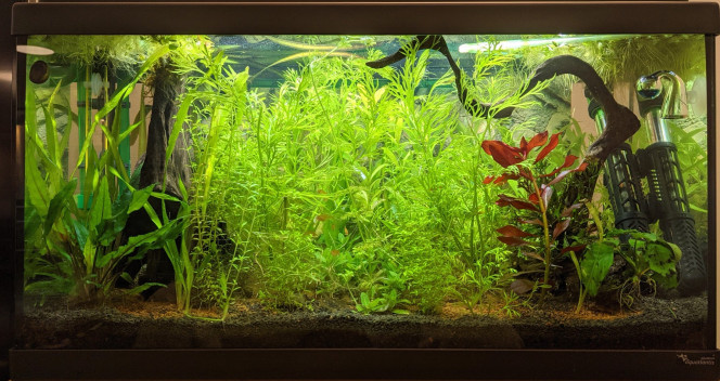 Jardinage 