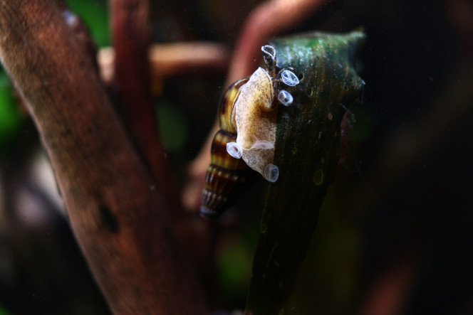 Photographie du post de MarleneMLX 