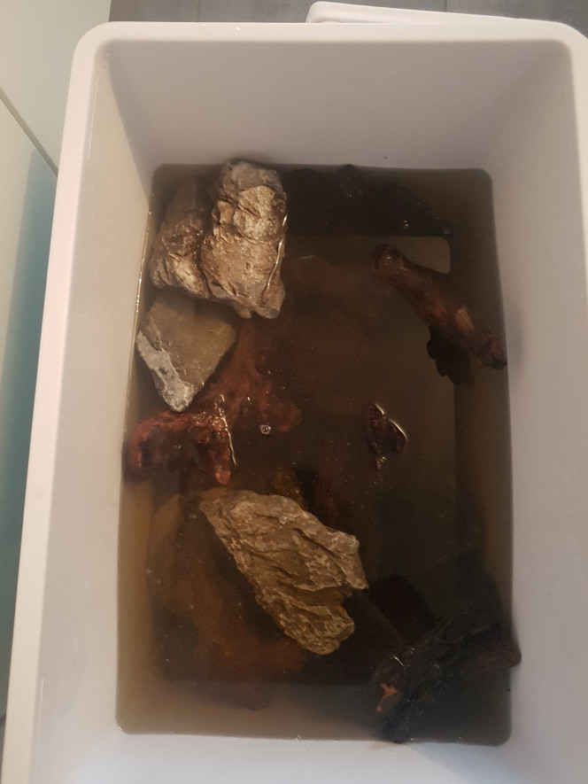 Ca avance... Mise en eau possible ce week-end après récupération des premières plantes. :)