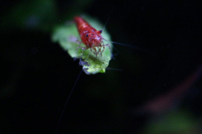 Photographie du post de MarleneMLX 