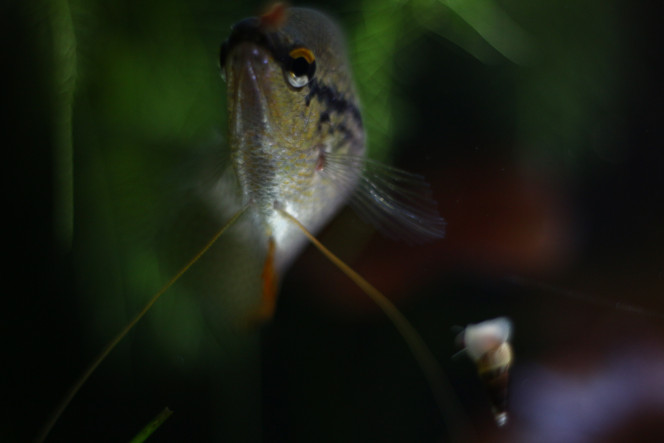 Photographie du post de MarleneMLX 