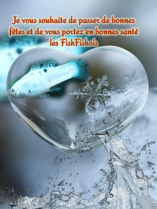 Photographie du post de Lulu82 