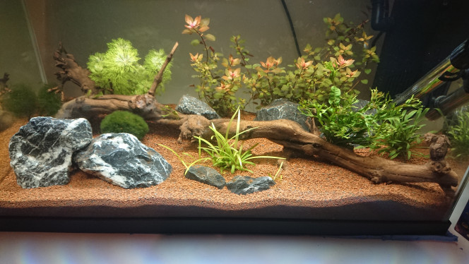 Ciano Aquarium 60 LED 