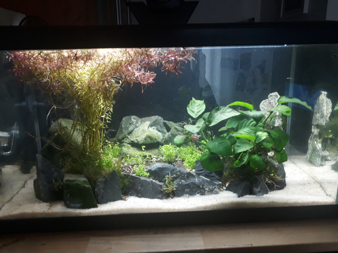 Themyscira Nouvelle déco