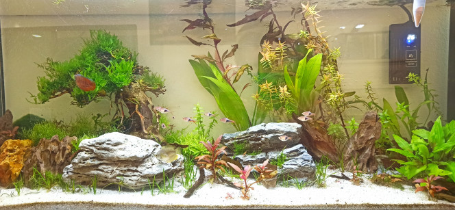 Nouveaux arrivants 