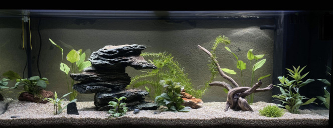  En eau depuis 3 semaines