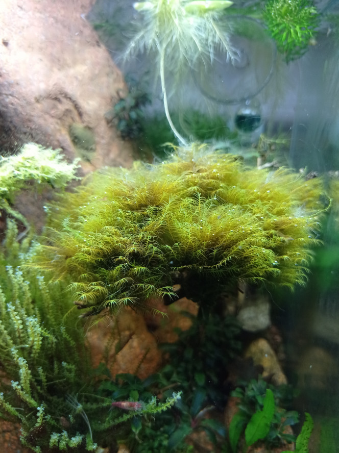 Photographie du post de Stef7524 