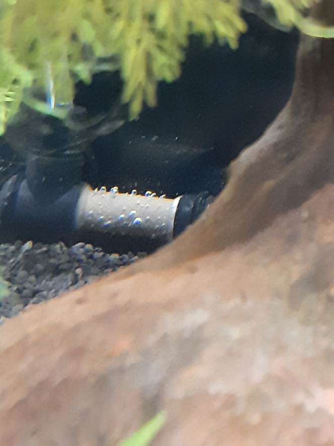 Aquarium de salon : arrivée du CO2 J'ai suivi les tuto, j'ai récupéré un extincteur, j'ai acheté une electrovanne, et zou, je tente à 10 bulles par minute
