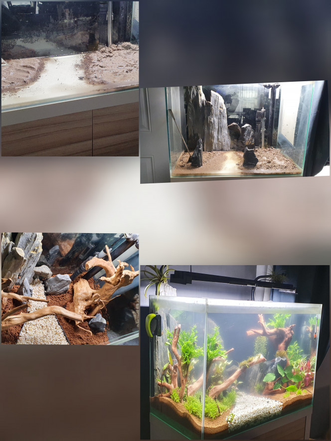 Mise en eau aquarium eau douce Retour à l'eau douce