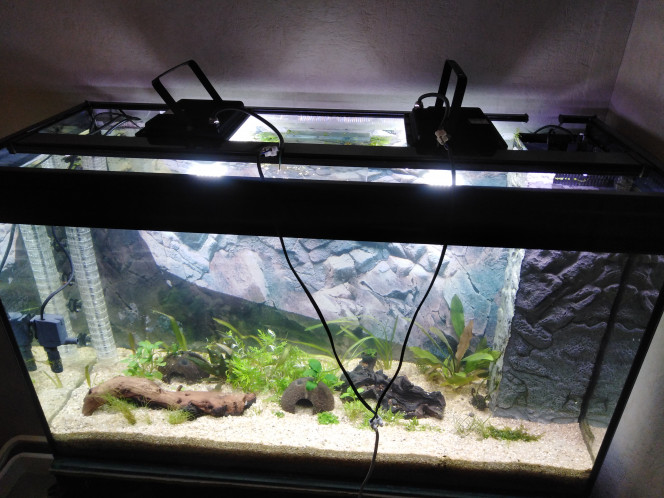 Découpe capot pour installation des spot led 50w 6400k 4000lumens par spot, ça envoie du lourd, 20e pièce.