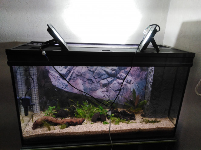 Découpe capot pour installation des spot led 50w 6400k 4000lumens par spot, ça envoie du lourd, 20e pièce.