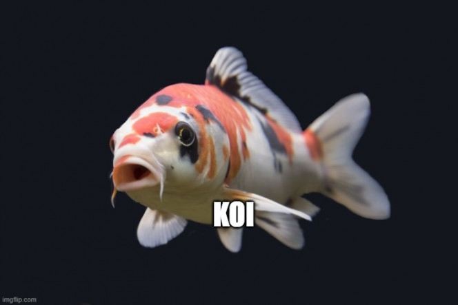 Photographie du post de Kaeris 