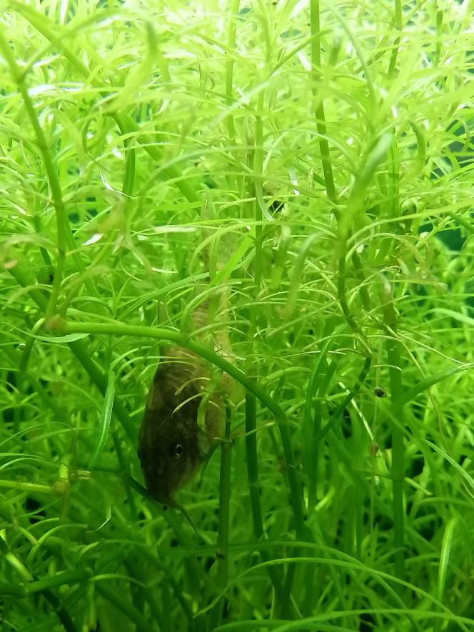 Repos du Cory 