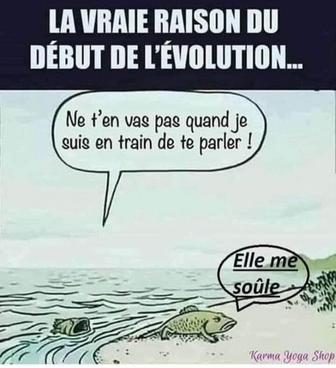 Photographie du post de NakMuay 