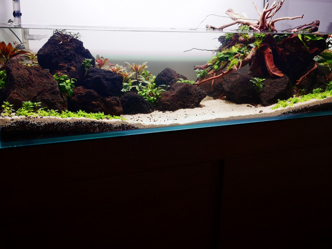 Photographie du post de Olivoliv 