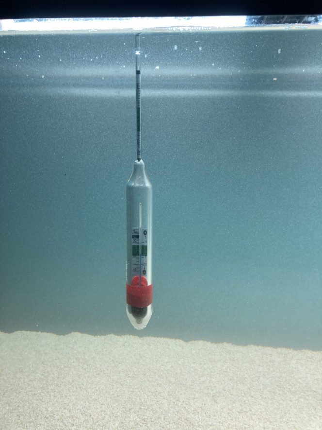 Environ 9 kgs de sel 