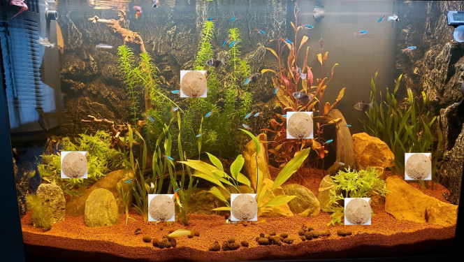 greguss02110 enfouissement des boulettes de pro JBL flora 7 Kugeln rajouté a chaque pied de plante différente et à remettre dans 6 mois dans mon sol Manado Jbl et Laissez-moi un commentaire ça me ferait plaisir
