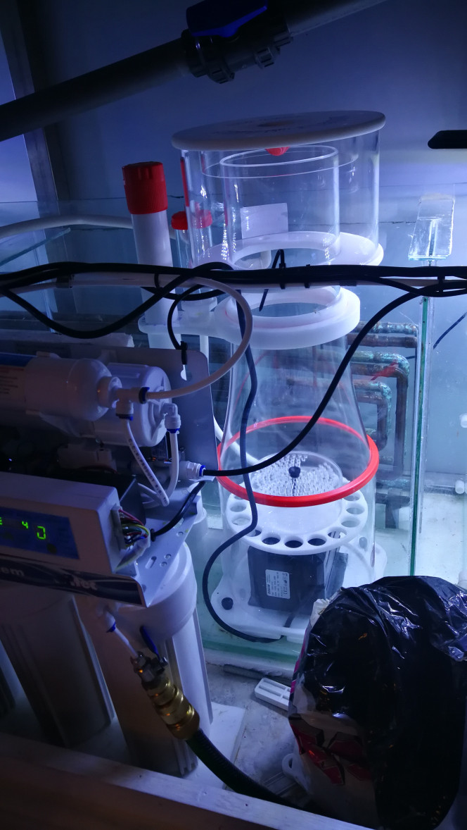  Le voilà, et on remplie 7 jours. 5 pour l'aquarium et 2 pour les decantes une éternité pour moi?